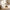 Domiqut  4-Seater Cloud Couch for Living Room